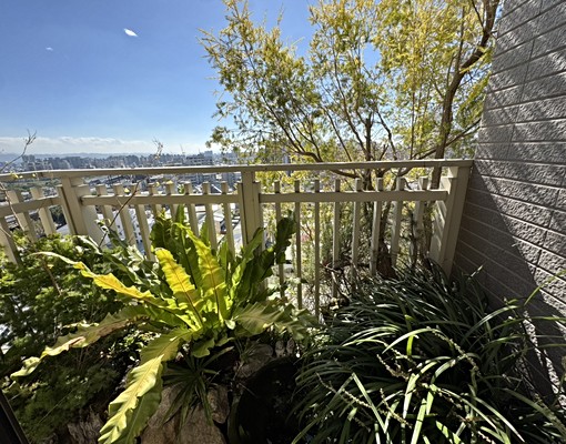 歐式百萬裝潢🔥衛浴有烤箱🔥雙平車🔥採光佳🔥看備註 - Image 13