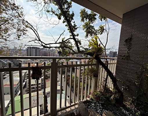 可租補太原車站百萬裝潢三改二雙平車 - Image 9