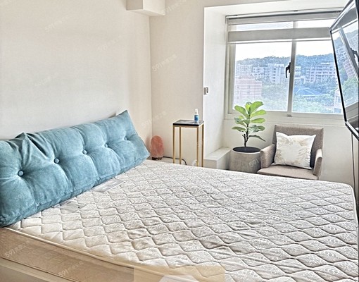 🔑竹科可寵|日式陽光景觀宅|租金含管 - Image 1