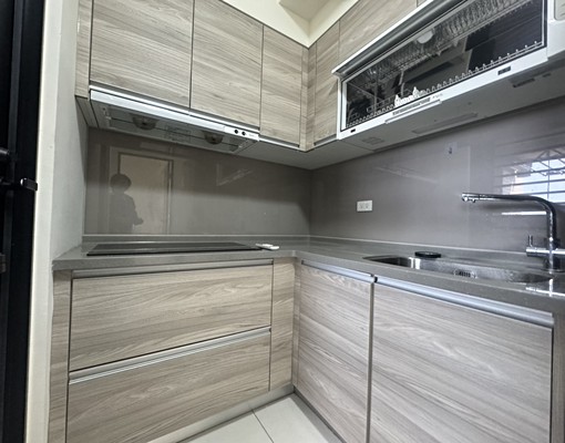 租~銳揚巴洛克景觀2+1房平車全新未住~ - Image 3