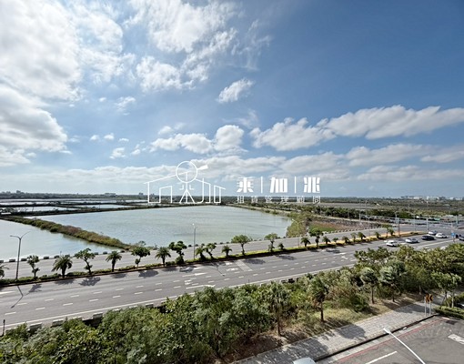 💥乘加兆茵茵💥安南區一看就會喜歡的房子大坪誠可議寵物友善 - Image 13