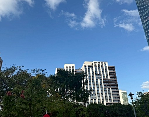 可租補可報稅~副都心全新交屋未住過捷運站約500公尺 - Image 12