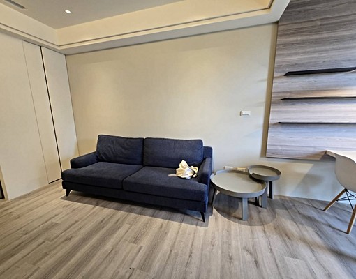 青埔彬彬【禾林2】【精美套房車】 - Image 4