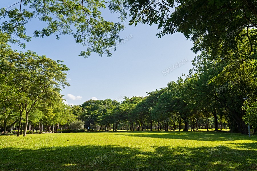 仁愛自在環境圖