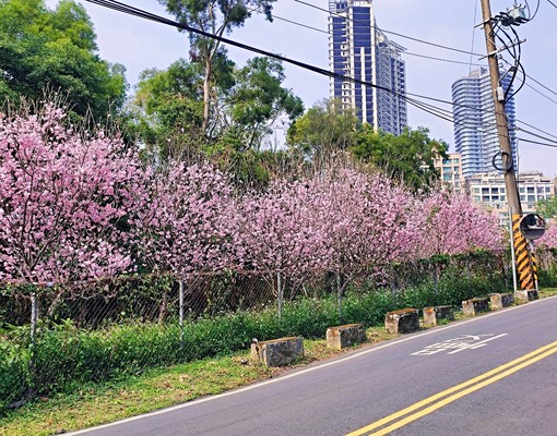 【山妍疊翠】電梯有陽台獨立大套房 - Image 14