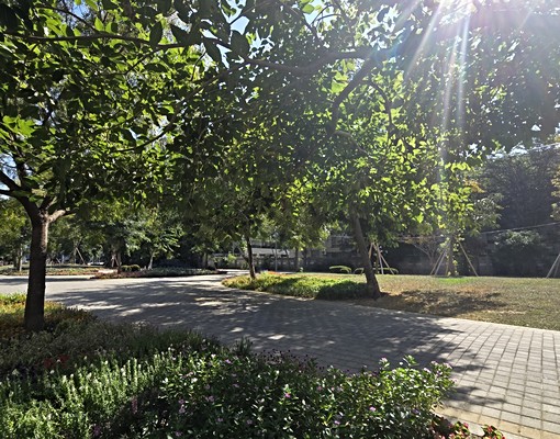 全新交屋新都心電梯公寓 - Image 11