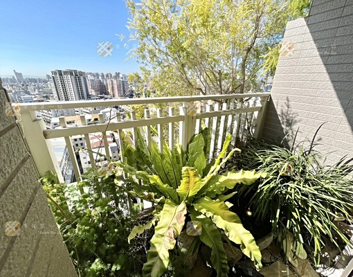 北屯區雙平車✨百萬裝潢三改二✨全配可租補 - Image 14