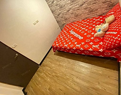 🎀兩房一廳好屋秒殺款✦獨洗獨陽台✦桃園火車站✦統領✦錢櫃 - Image 4