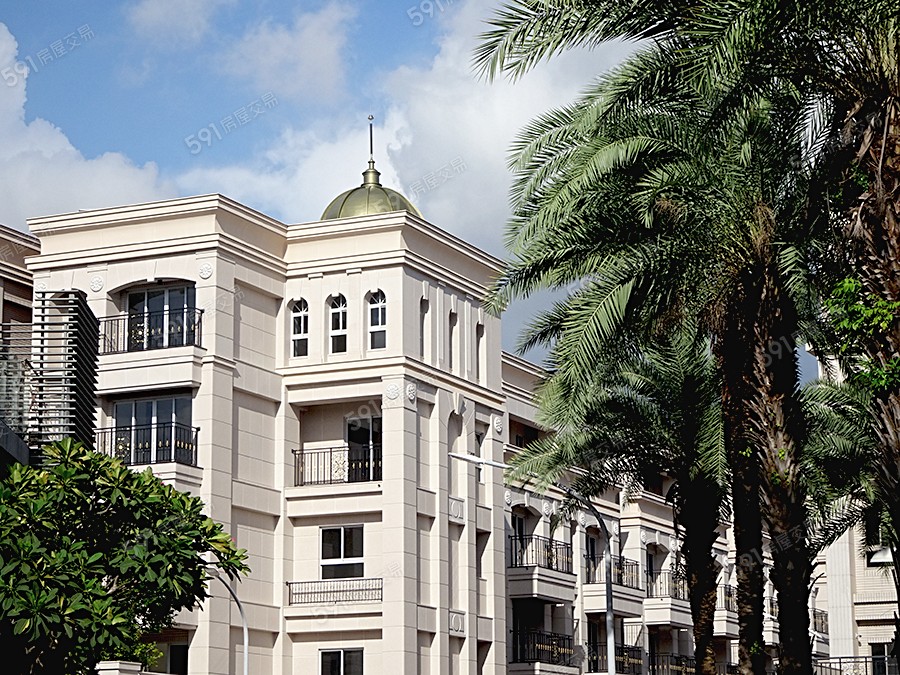 百立新仁美封面圖