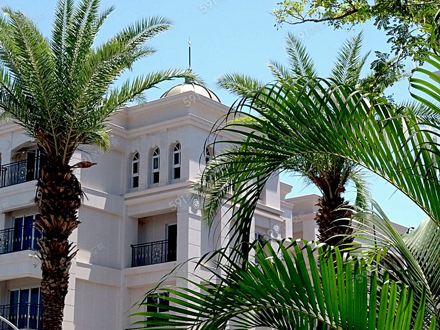 百立新仁美實景圖