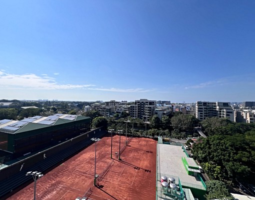 大林新城高樓景觀面體育公園~附平車位 - Image 14