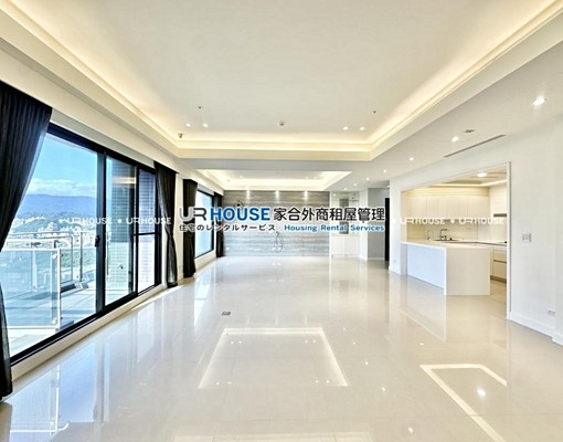 南軟/南港重劃區指標/華固豪邸高樓景觀 - Image 5