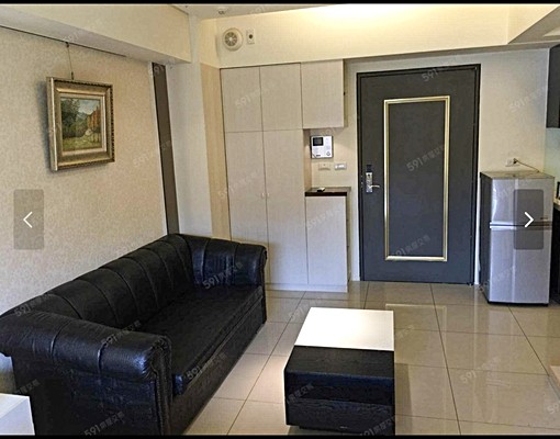 藝文特區優質大坪數套房~含車管 - Image 1