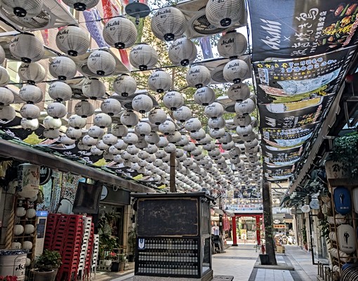 安築房屋|全新套房|租屋補助丨可寵好停車子母車網路獨立陽台 - Image 10