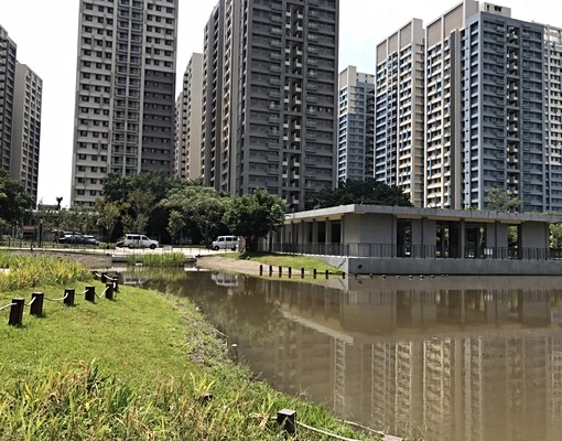 近亞東捷運站,電梯,3房2衛,租金含汽車位/管理費,屋主自租 - Image 11