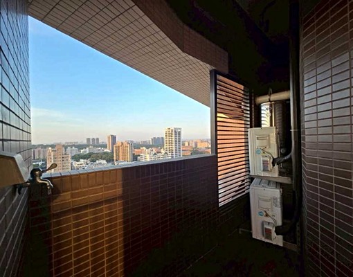 台積捷運*全新家具家電!高樓景觀+拎包入住(可寵可租補) - Image 10