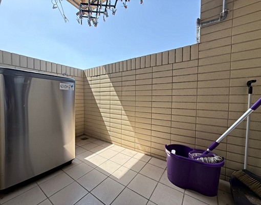 ✨新莊體運館丨綠意公園丨寵物友善⭐️小碩⭐️ - Image 12