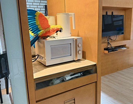 月租/好市多/環球購物中心 - Image 7