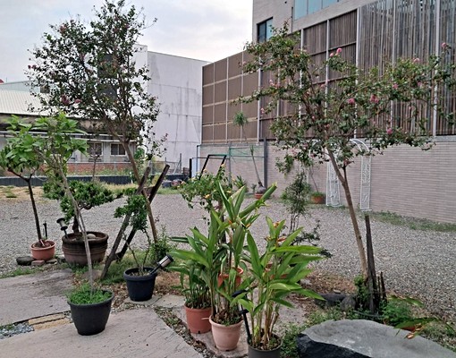 晚秋的東區小院氛圍 - Image 4