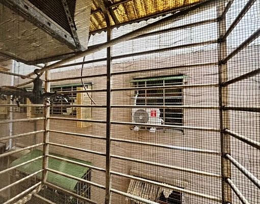 秀朗橋❣可貓🐈⬛/傢俱齊全/採光通風/收納空間多 - Image 9