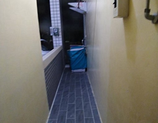 湖內1樓獨門獨戶汽車位大套房(個人洗衣機) - Image 5