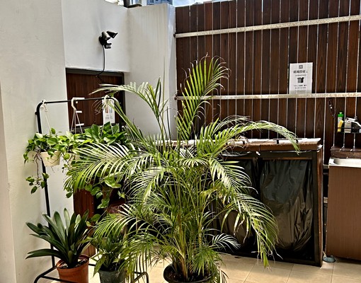 桃園高鐵站前青埔特區內電梯小豪宅 - Image 12