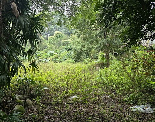 文山農場旁大透天(可倉儲.日照中心) - Image 4