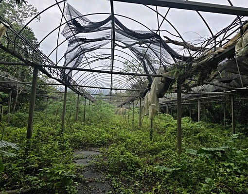 文山農場旁大透天(可倉儲.日照中心) - Image 6