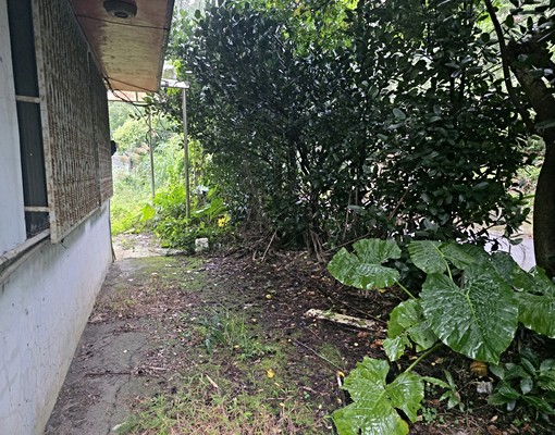 文山農場旁大透天(可倉儲.日照中心) - Image 15