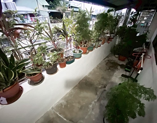 捷運江子翠3分◆超值2房◆房皆有窗★大陽台 - Image 8