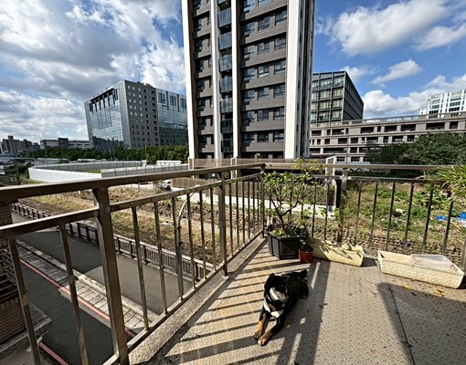 頂埔❣️可租補稅🌟可寵🌟陽台獨洗曬🌟乾濕分離🌟大空間 - Image 12