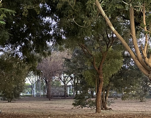 春福天駅x高鐵宅x可租補x學區x三井百貨x平車x僅此一席 - Image 14