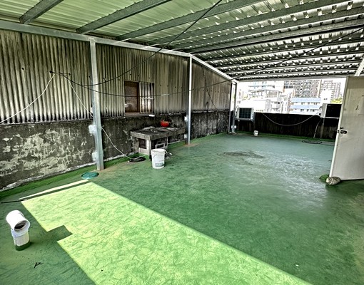 好室成家/採光佳大坪數/近美術館/生活機能佳/文青質感 - Image 11