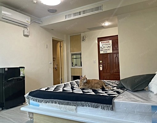 睿達🏠豐原租屋🏠豐東路飯店級套房🏠可租補可貓 - Image 6