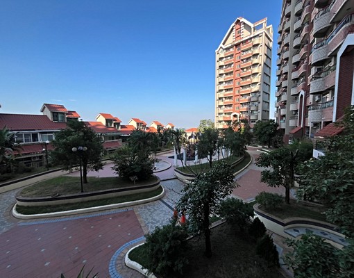 樹海高cp兩房 - Image 8