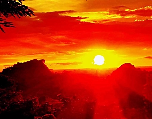 樹海高cp兩房 - Image 10