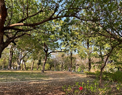全新未住✨百萬裝潢❗️🌲科工館樹海陽台大套房☀️ - Image 4