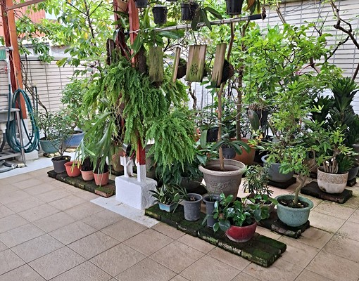 獨立套房出租 - Image 7