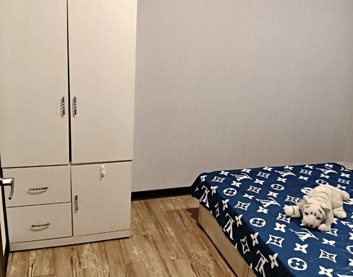 333幸福資產---近桃園市區、獨洗2房電梯大樓、可寵採光佳 - Image 10