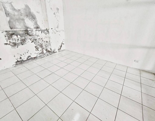 可租補💎稀有整棟七房💎北勢商圈💎可神明廳💎可外籍宿舍 - Image 8