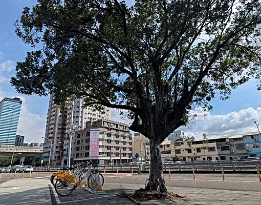 🏙【南區忠明南路|高樓景觀三房】🏙 - Image 4