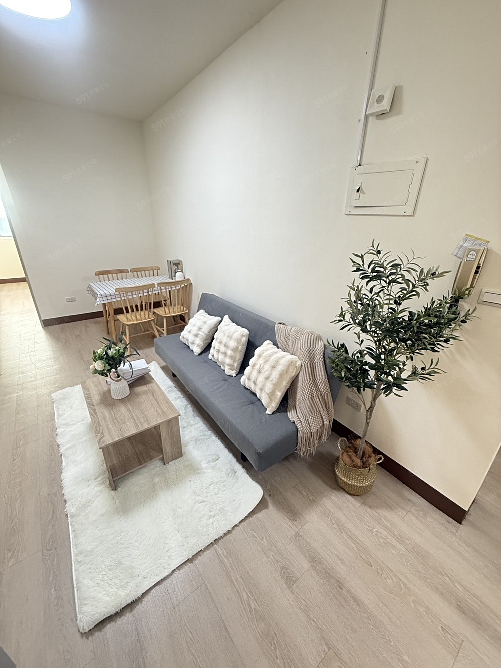 客廳起居交誼空間