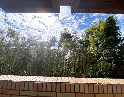 可租補⭐全新整理大空間有陽台套房近新生醫專.渴望園區.工業區 - Image 8