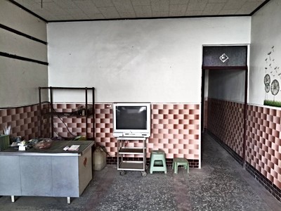 新園港西俗透天