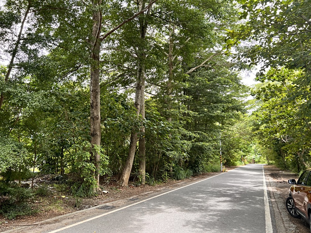 高雄市旗山區永和段土地 第2張共3張