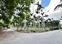 鳳林鎮-土地，2637.7坪