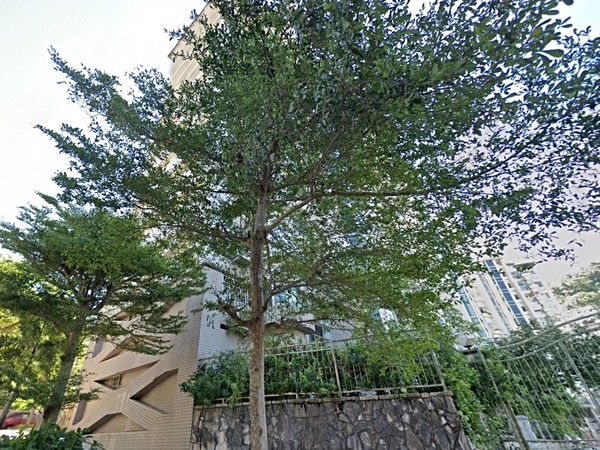 麥田山莊金禾區