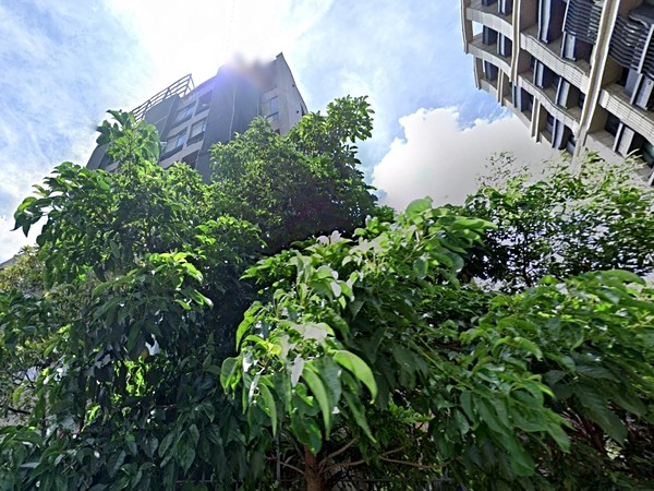 圓山新主流