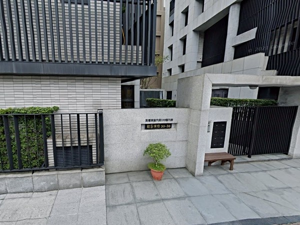 勤家樸樹