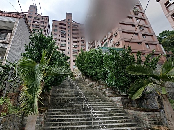 薇多綠雅E